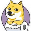 单身狗棋 V1.1 安卓版