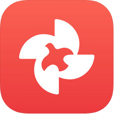 新知青 V1.6.1 安卓版