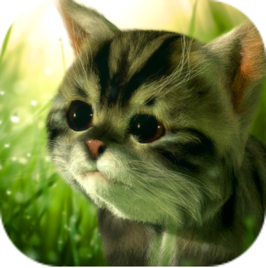 猫咪追寻:神秘探险 V0.85 安卓版