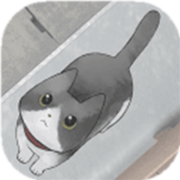 迷途猫 V1.1 安卓版