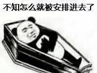 不知怎么就被安排进去了表情包