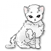 猫和纸箱 V1.0.0 安卓版