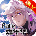 FATE嘉年华 V1.2 免费版