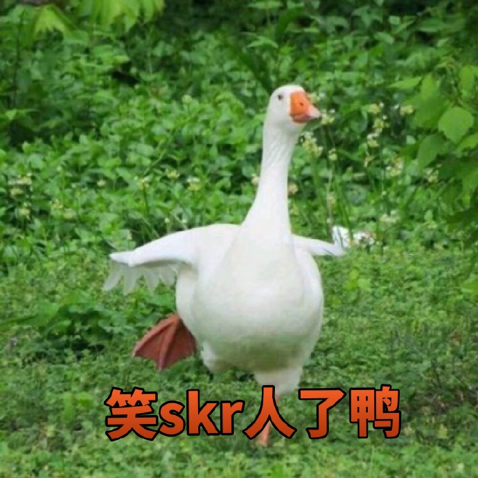 skr表情包