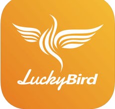 金吉鸟健身 V1.0.5 苹果版