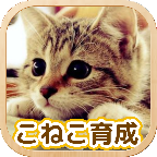 3D猫咪养成 V1.2.1 汉化版