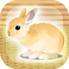 治愈兔兔养成 V1.2 汉化版