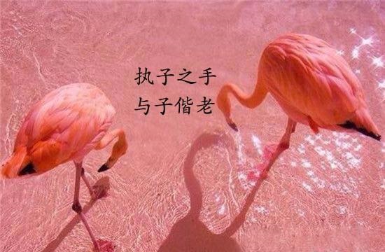 七夕那些土味情话表情包