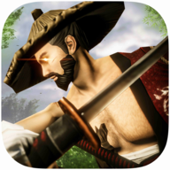 影忍者刺客战士 V1.0 安卓版