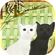 逃脱游戏：小猫和七夕 V1.0 安卓版