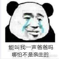 云绿帽表情包