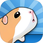 豚鼠桥 V1.7.9 免费版