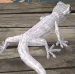 蜥蜴模拟器3D V3.0.1 免费版
