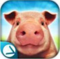 猪的一生模拟器 V1.01 免费版