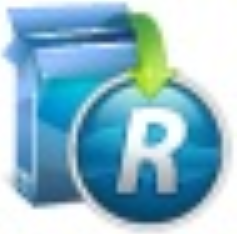 Revo Uninstaller Pro V4.0.0 中文版