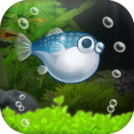 我的河豚水族馆 V1.0.0.4 免费版