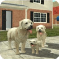 宠物犬模拟3D V9.0 安卓版