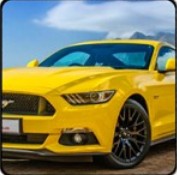 野马赛车模拟器 V1.10 安卓版