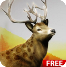 狩猎挑战 V1.0 免费版