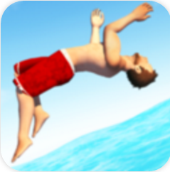 翻转跳水 V2.9.11 免费版