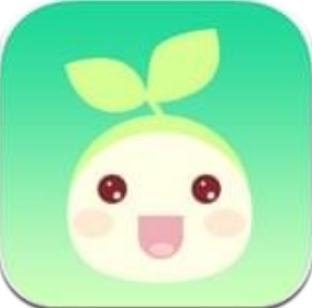 综合素质 V1.0.8 安卓版