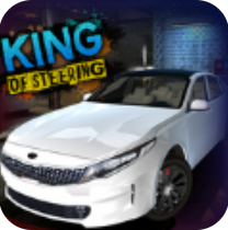 转向之王 V3.5.53 安卓版