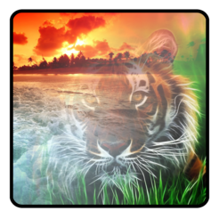 Photo Mixer V1.03 Mac版