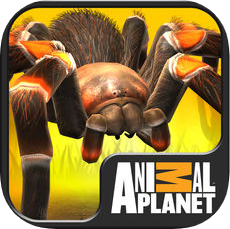 我的蜘蛛(Real Scary Spiders) V1.4.3 苹果版