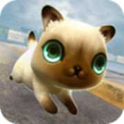 猫与龙 V1.0 安卓版