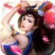 华夏英雄传 V1.0 安卓版