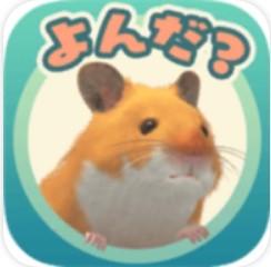 云仓鼠 V1.0.3 安卓版