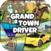 大城市司机 V1.1 安卓版