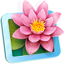 LilyView V1.2.3 Mac版