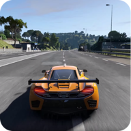 真正的赛车 V1.1 安卓版