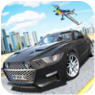 肌肉车驾驶模拟器 V1.4 安卓版