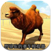 野骆驼的赛车模拟器 V1.0.3 安卓版