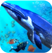蓝鲸海洋生物模拟器 V1.0.0 安卓版