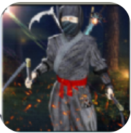 忍者战斗家 V1.0.2 安卓版
