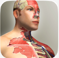 Idle Human V1.3.1 安卓版