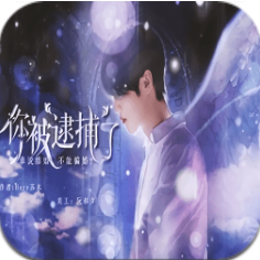 你被逮捕了 V1.0 安卓版