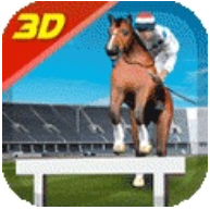 赛马锦标赛3D V1.1.0 安卓版