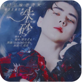 朱砂 V3.1 免费版