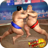 胖子的摔跤术 V1.0.7 安卓版