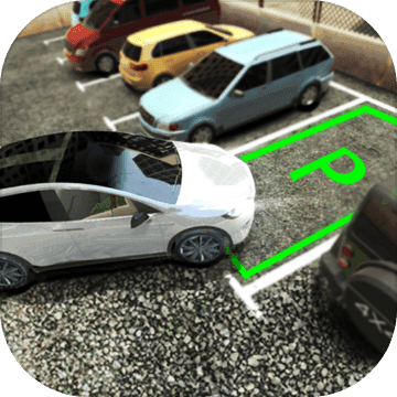 真实停车高手 V1.0 免费版
