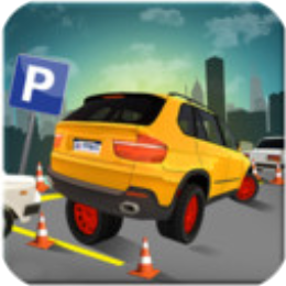 疯狂停车模拟驾驶 V1.1 安卓版