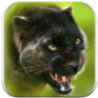 猎豹模拟器OL V1.2 安卓版