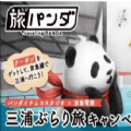 旅行的熊猫 V1.0 安卓版