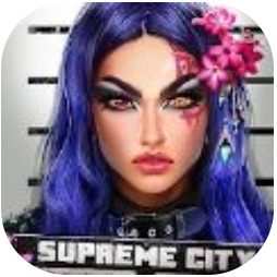 至尊城市对手 V5.2.4.35 安卓版