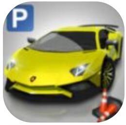 真实汽车停车模拟 V3.0.04 安卓版