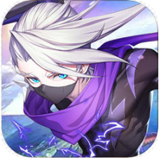 忍者乱斗 V1.3 安卓版